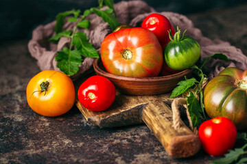 Fresh, ripe multi colored tomatoes on a dark background. Organic food.