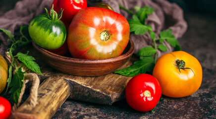 Fresh, ripe multi colored tomatoes on a dark background. Organic food.