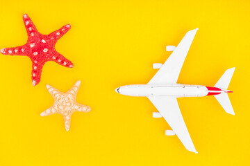 View from above at the plane and starfish on the yellow background.