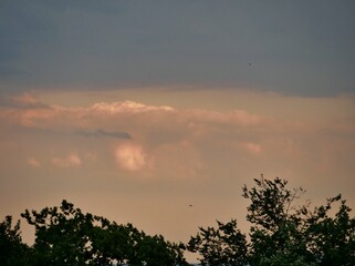 Abendhimmel mit Bäumen