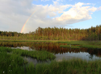 rainbow over the lake