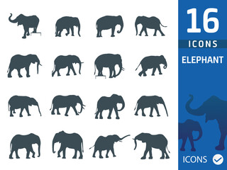 Elephant flat icon set