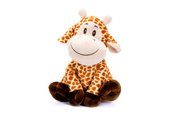 Tender baby giraffe sitting