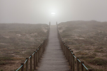 Foggy sand dune walkway
