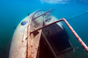 Underwater sailboat shipwreck with barnacles and fish in the Caribbean  ocean but could be any body of water