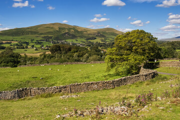 Fototapeta na wymiar The Howgill Fells are hills in Northern England between the Lake District and the Yorkshire Dales, lying roughly in between Sedbergh, Kirkby Stephen and