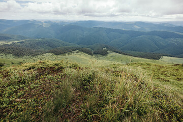 Obraz premium A view of a lush green hillside