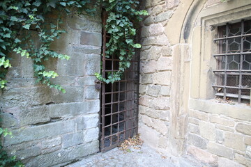 Part of an ancient stone building with a rusty lattice and ivy.