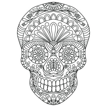 skull with ornaments and flowers drawn in folk style on a white background for coloring, vector, day of the dead