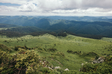 A herd of sheep standing on top of a mountain