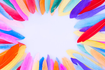 Colorful pattern made of feathers.