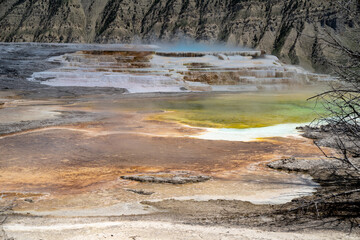 Canary Springs in Yellowstone National Park at the Mammoth Hot Springs area