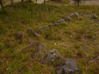 Piedras decorativas de un parque