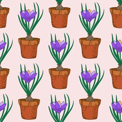 Seamless pattern with crocus in the pot. Vintage vector art. 