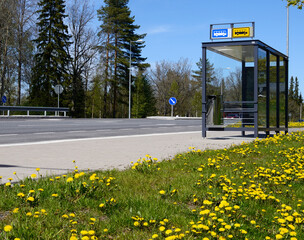 bus stop outside the city and yellow flowers on the lawn