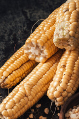 Ripe corn on dark background.