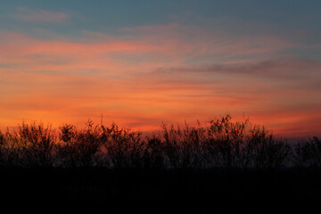 SOL DE ATARDECER
