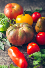 Fresh, ripe multi colored tomatoes on a dark background. Organic food.