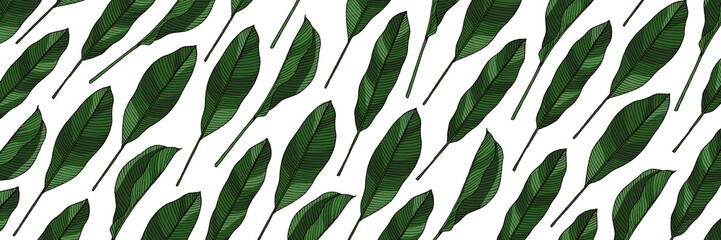 Seamless pattern with hand drawn sketch style tropical leaves. Graphic design with of heliconia leaves on white background.