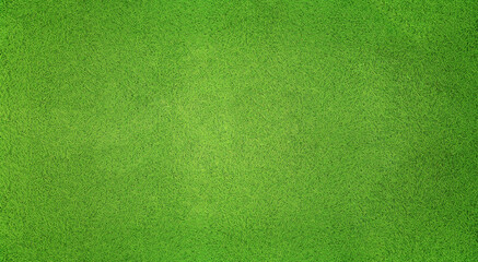 Top view of green grass background.
