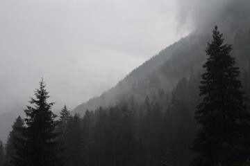 dark grey foggy rainy landscape, hard rain background in the mountain