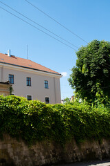 Beautiful sunny day. The wall on which wild grapes grow. Cityscape 