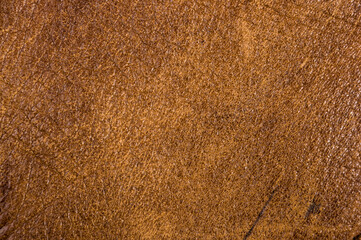 Old vintage genuine soft brown leather texture background, top layer with pores and scratches,...