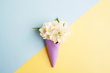 Jasmine flowers in a waffle cone on a yellow-blue background. Summer concept