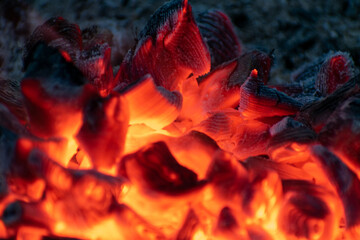 Burning Coals in Campfire