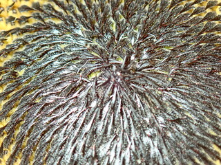 close up of an abstract background