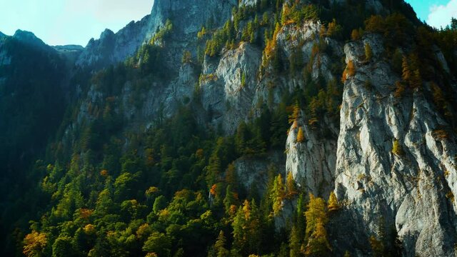 Aerial panoramic view of rocky mountains range. Video from drone flying over forested and cliffs slopes of Carpathian Mountains range. Majestic landscape in Romania, travel background, 4k