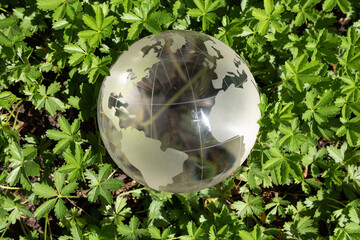 earth green concept glass sphere.