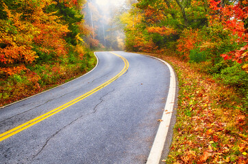 Fototapeta premium Winding road on a foggy autumn day in New England, Maine
