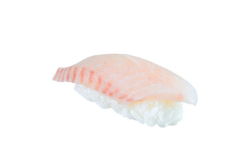 Japanese Nigiri sushi with raw rockfish fillet. sashimi with rice, isolation on white background. Japanese cuisine. Pan Asian menu dish isolated.
