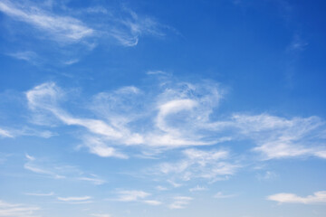 Naklejka na ściany i meble Blue clean sky with light clouds