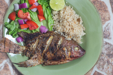 Fresh red Tilapia, known as Mojarra in Mexico