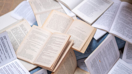 Obraz premium many open books