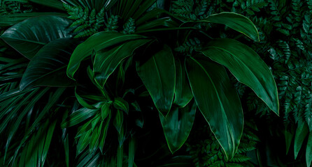 Fototapeta na wymiar Tropical wet bright green leaves background with water droplets, fern, palm and Monstera Deliciosa leaf with bright toning, floral jungle pattern concept background, close up 
