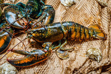 Lobster in the fishing net 