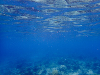 Underwater view