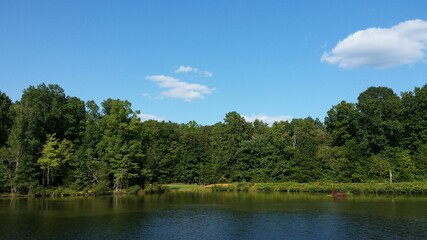 Fototapeta na wymiar Lake, Trees and Sky