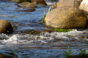 River on the jungle