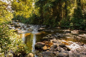 River on the jungle
