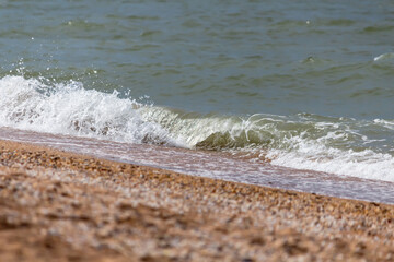 wave by the sea, shell beach, use as background