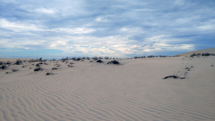 dunes on the beach