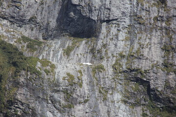 岩肌/世界遺産ミルフォード・サウンドの風景(ニュージーランド)