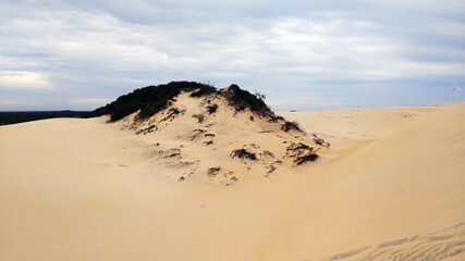 sand dunes on the beach