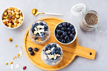 Chia pudding with granola and fresh blueberries in the glasses on a gray concrete background with copy space. Concept of healthy eating, healthy lifestyle, dieting, fitness menu. Selective focus