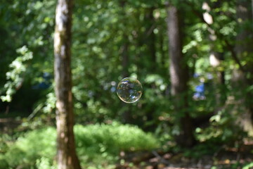 Blowing Bubbles