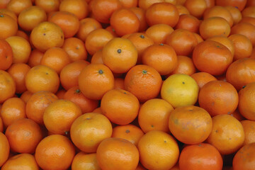 Bunch of small fresh oranges  